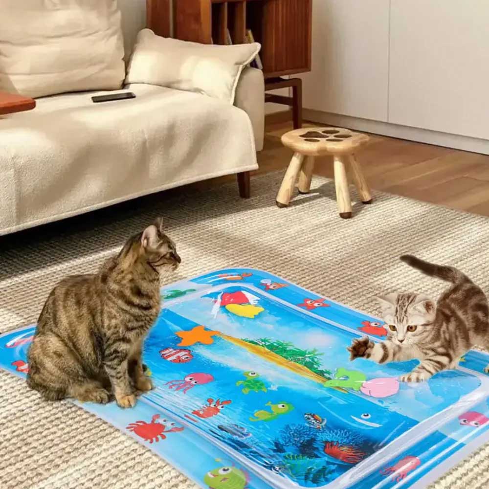 Cama de Água Sensorial para Gatos